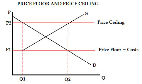 Price Floors And Ceilings Honors Government Ap Macroeconomics